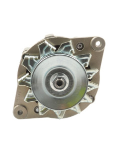 Alternador (Mahle) - 14V, 55 Amperios 2