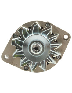 Alternador (Mahle) - 14V, 55 Amperios 2