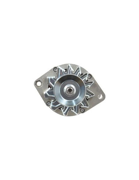 Alternador (Mahle) - 14V, 55 Amperios