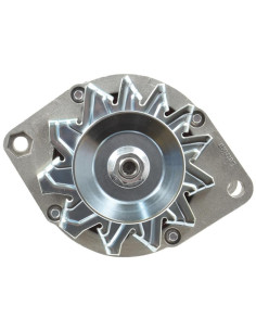 Alternador (Mahle) - 14V, 55 Amperios 2