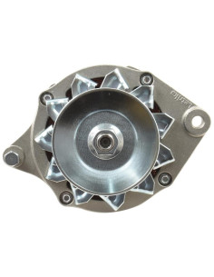 Alternador (Mahle) - 14V, 65 Amperios 2
