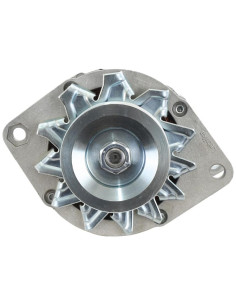 Alternador (Mahle) - 14V, 65 Amperios 2