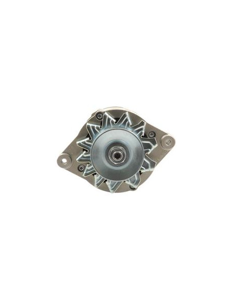 Alternador (Mahle) - 14V, 65 Amperios