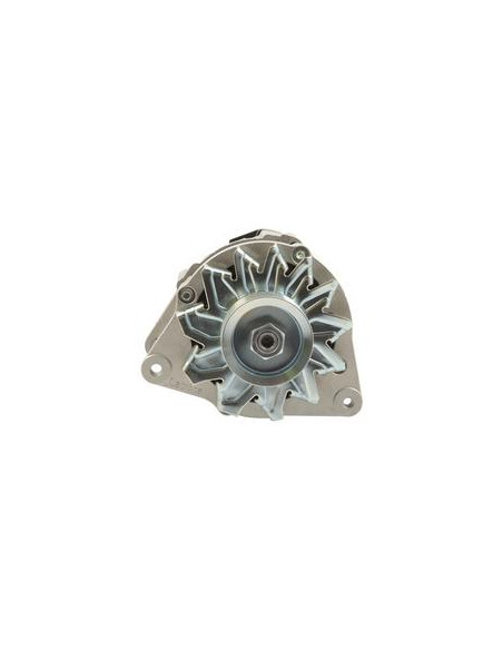 Alternador (Mahle) - 14V, 65 Amperios