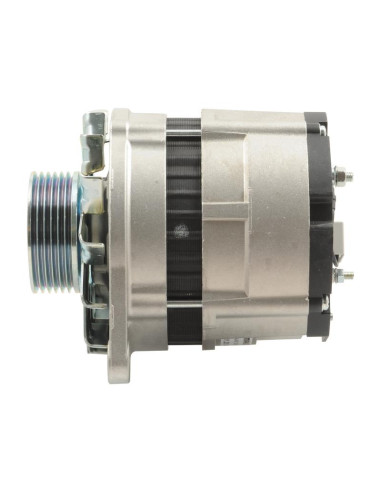 Alternador (Mahle) - 14V, 65 Amperios