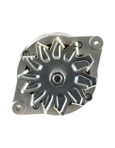 Alternador (Mahle) - 14V, 65 Amperios 2