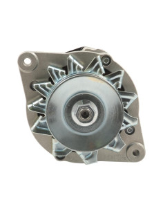 Alternador (Mahle) - 14V, 70 Amperios 2