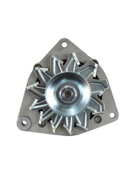 Alternador (Mahle) - 28V, 55 Amperios