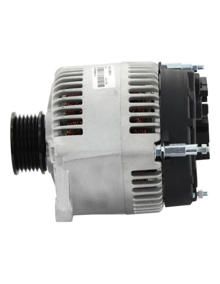 Alternador (Sparex) - 12V, 100 Amperios