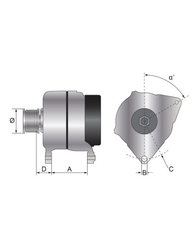 Alternador (Sparex) - 12V, 100 Amperios