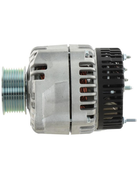 Alternador (Sparex) - 12V, 120 Amperios