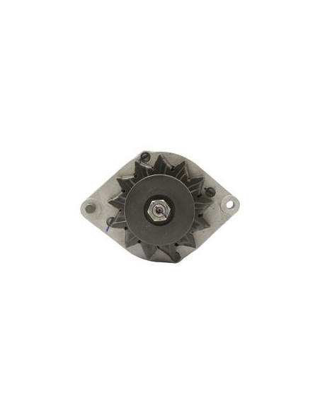 Alternador (Sparex) - 12V, 33 Amperios