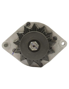Alternador (Sparex) - 12V, 33 Amperios 2