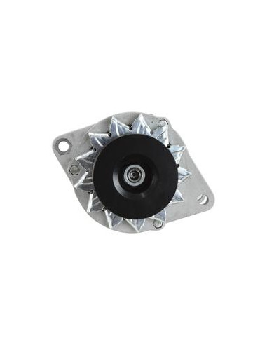 Alternador (Sparex) - 12V, Amperios