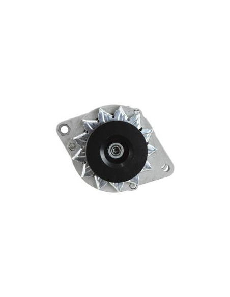 Alternador (Sparex) - 12V, Amperios