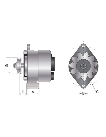 Alternador (Sparex) - 12V, Amperios