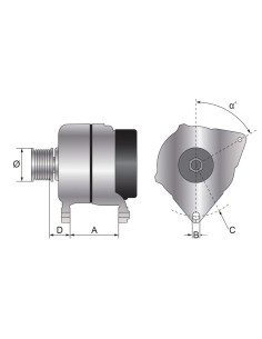Alternador (Sparex) - 14V, 120 Amperios 2