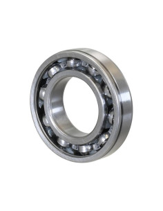 Sparex Rodamiento de Bola (62092RSN)