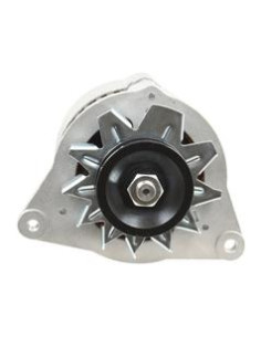 Alternador (Sparex) - 14V, 45 Amperios