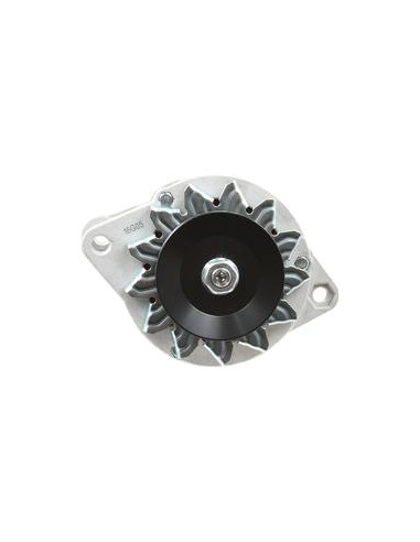 Alternador (Sparex) - 14V, 55 Amperios
