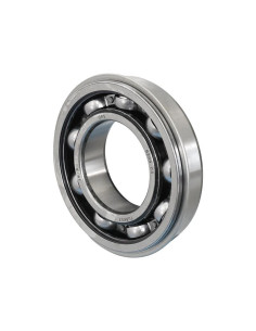 Sparex Rodamiento de Bola (6209ZNR) 2