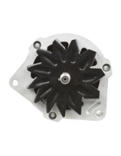Alternador (Sparex) - 14V, 55 Amperios