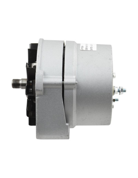 Alternador (Sparex) - 14V, 55 Amperios