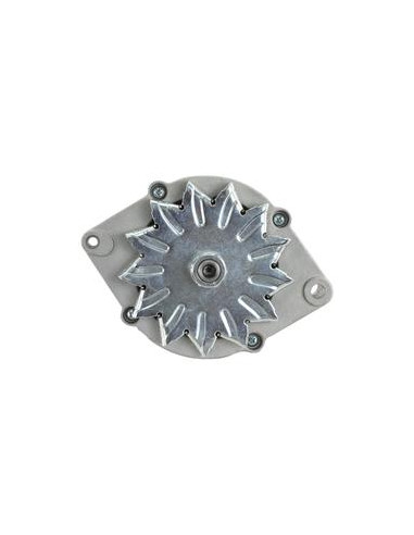 Alternador (Sparex) - 14V, 65 Amperios
