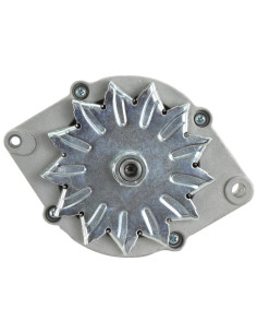 Alternador (Sparex) - 14V, 65 Amperios 2