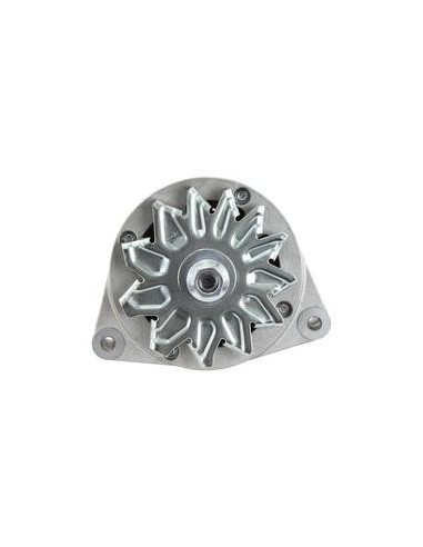 Alternador (Sparex) - 14V, 80 Amperios