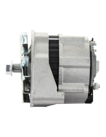 Alternador (Sparex) - 14V, 80 Amperios