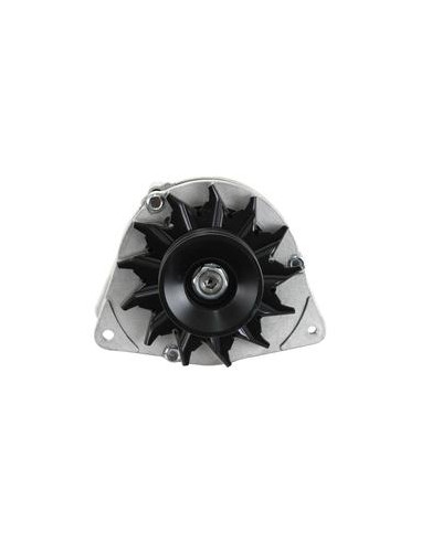 Alternador (Sparex) - 14V, 80 Amperios