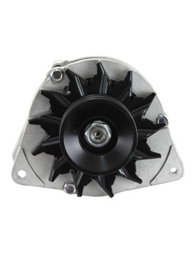 Alternador (Sparex) - 14V, 80 Amperios