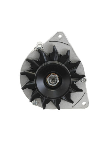 Alternador (Sparex) - 14V, 80 Amperios