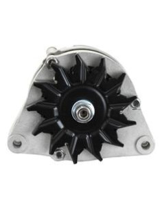Alternador (Sparex) - 14V, 80 Amperios