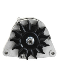 Alternador (Sparex) - 14V, 80 Amperios 2