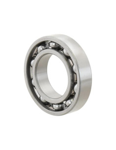 Sparex Rodamiento de Bola (6210)
