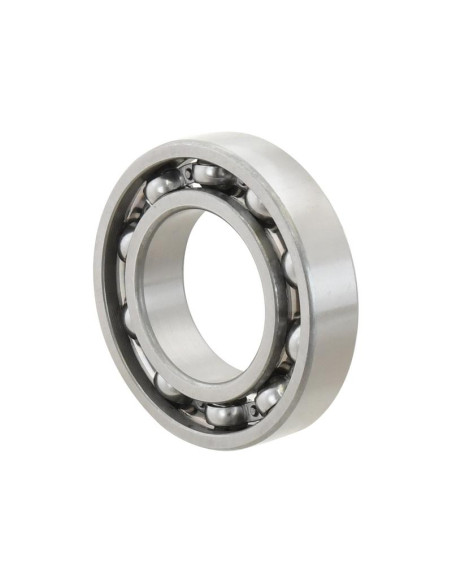 Sparex Rodamiento de Bola (6210)