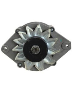 Alternador (Sparex) - 14V, 95 Amperios