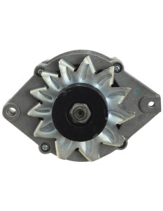 Alternador (Sparex) - 14V, 95 Amperios 2