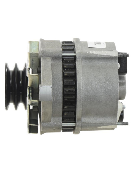 Alternador (Sparex) - 14V, 95 Amperios