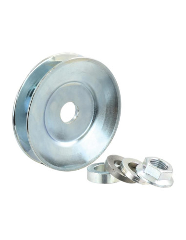 Polea del alternador