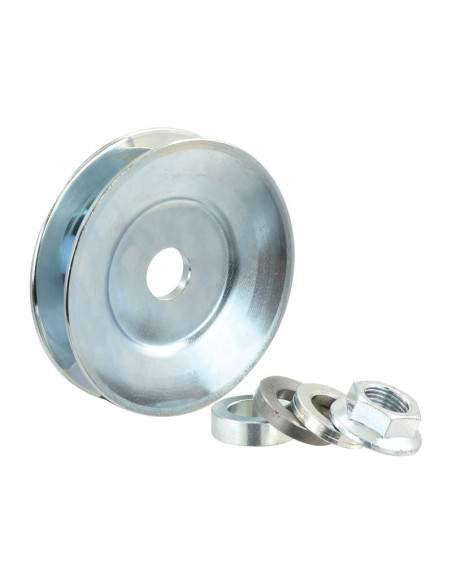 Polea del alternador