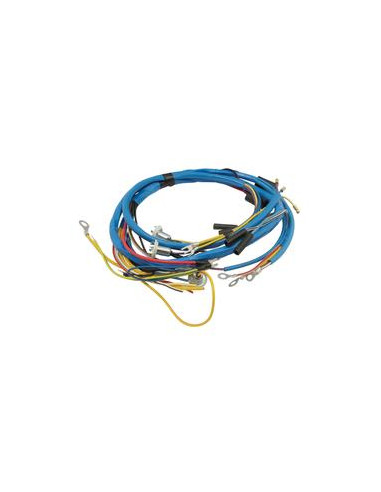 Arnés de cableado