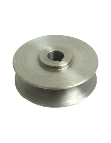 Polea de la dínamo