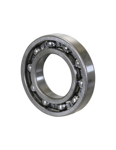 Sparex Rodamiento de Bola (6213)