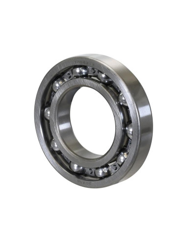 Sparex Rodamiento de Bola (6213)