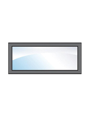 Ventana Trasera