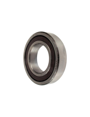 Sparex Rodamiento de Bola (6262RS)