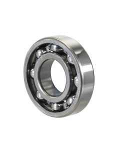 Sparex Rodamiento de Bola (6309)
